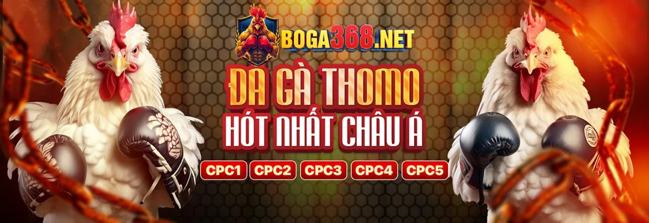 Hình ảnh giới thiệu về ee88 chính thức